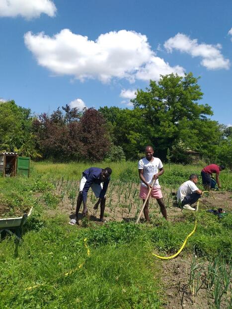 Aire-sur-l&rsquo;Adour&nbsp;: l&rsquo;int&eacute;gration des r&eacute;fugi&eacute;s par la langue la culture et le jardinage | Landes - Conseils municipaux & communautaires | Scoop.it