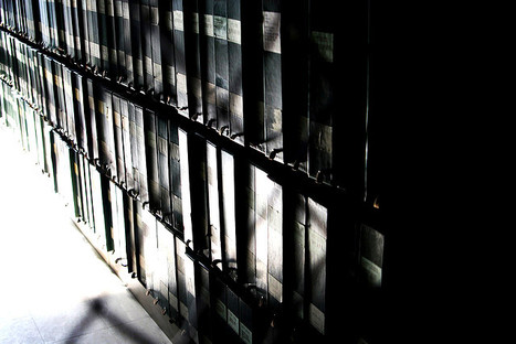 NumeLyo, la biblioth&egrave;que num&eacute;rique de Lyon : exister &agrave; l&rsquo;ombre de&nbsp;Google | Chronique des Droits de l'Homme | Scoop.it