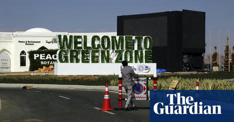 What is Cop27 and why does it matter? | Cop27 | The Guardian | International Economics: IB Economics | Scoop.it