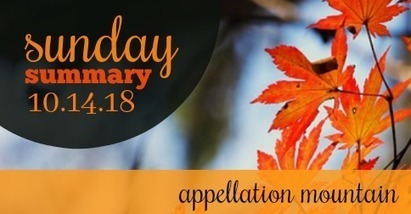 Sunday Summary: Jake, Gray, Maud, and Ooh ... New Zealand! | Name News | Scoop.it