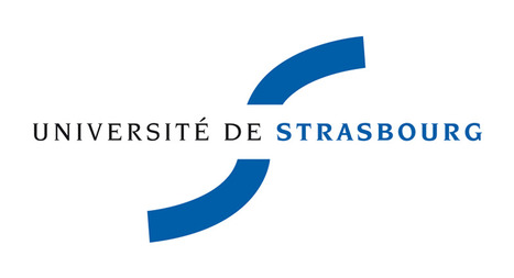 Journée TOC – EM Strasbourg 27 mars 2014 - Les détails | Théorie des Contraintes | Scoop.it