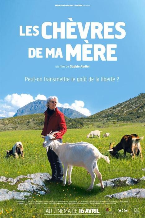 Documentaire » Les chèvres de ma mère au cinéma - 17-03-2014 - La chèvre | SCIENCES DE L' ANIMAL | Scoop.it