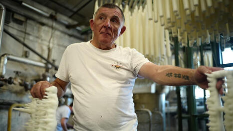 REPORTAGE. A Lourdes, 3,5 millions de nouveaux cierges sont fabriqu&eacute;s &agrave; partir de paraffine recycl&eacute;e par une entreprise vieille d'un si&egrave;cle | Accueil | Scoop.it