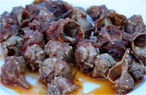 The Crocette (Sea Slugs) Le Marche typical shellfish dish | La Cucina Italiana - De Italiaanse Keuken - The Italian Kitchen | Scoop.it