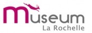 Tête chercheuse au Muséum de La Rochelle - LIttoral ENvironnement et Sociétés (LIENSs) - UMR 7266 | Recherche et innovation en Poitou-Charentes | Scoop.it