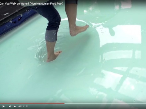 Marcher sur l’eau ? Le mystère est élucidé | Mécanique des fluides | Scoop.it
