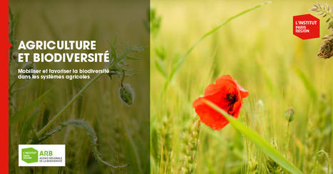 [Guide] Agriculture et biodiversité : Mobiliser et favoriser la biodiversité dans les systèmes agricoles ARB | Insect Archive | Scoop.it