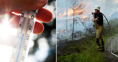 Efter extrema hettan i norr &ndash; sp&aring;r en ny sommar med skogsbr&auml;nder | 1Uutiset - Lukemisen t&auml;hden | Scoop.it