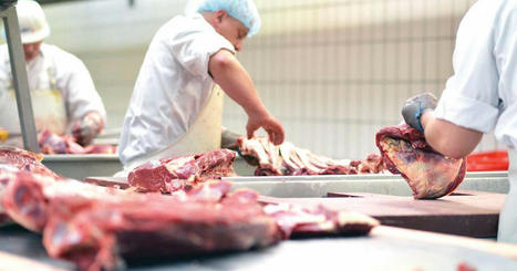 MALTA : Meat price rises worry butchers and importers | MED-Amin network | Scoop.it