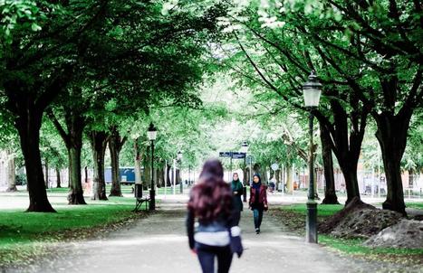 Malmö’s government is already 98% fossil-free | TheMayor.EU | Energy Transition in Europe | www.energy-cities.eu | Scoop.it