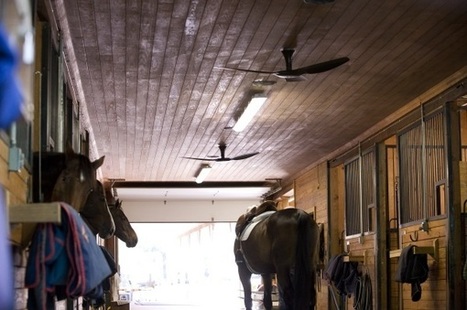 Why Horse Barns Need Big Fans Myhorse Daily