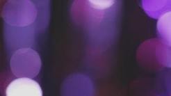 Extraordinary Free Stock Footage & HD Video Clips - Mixkit | Capstone: An ESRM Coda | Scoop.it
