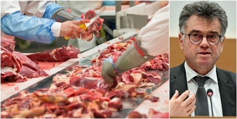 Belgique. Scandale Veviba: le camion vers le Kosovo contenait de la viande âgée de 12 ans, l'Afsca réagit - La Libre | La Gazette des abattoirs | Scoop.it