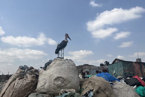 As Africa pays the price for rich world’s fast fashion fix, new French bill targets brands | consumer psychology | Scoop.it