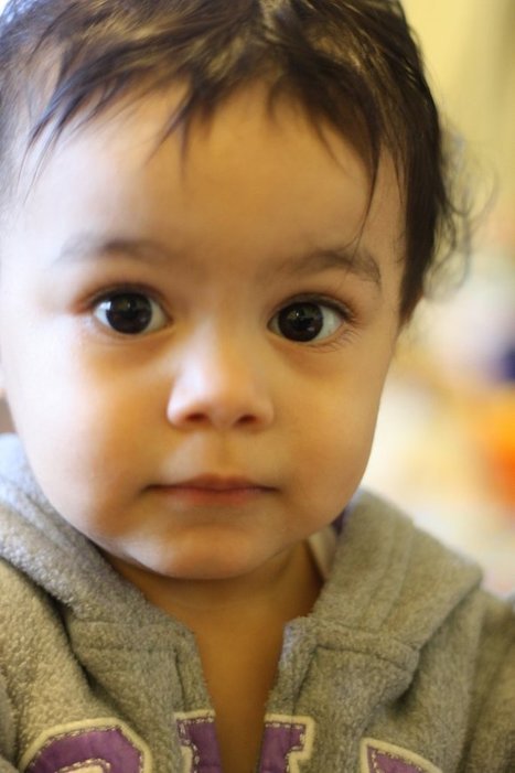 Introduction to the Science of Consciousness | Daniel Bor | Science News | Scoop.it