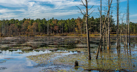 Augmentation du m&eacute;thane dans l'atmosph&egrave;re depuis 2019&nbsp;: comment l'expliquer&nbsp;? | Plan&egrave;te DDurable | Scoop.it
