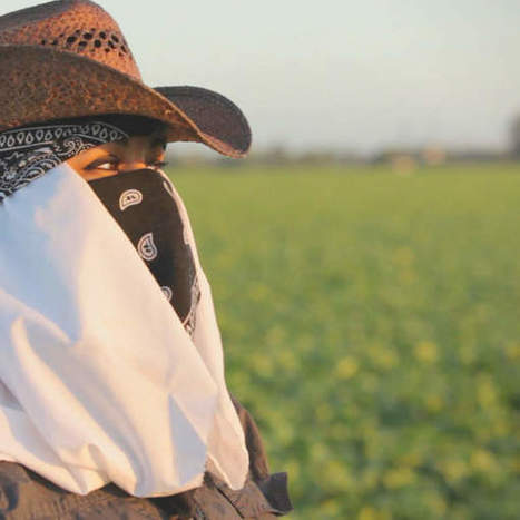 "Rape in the Fields" Investigation into Immigrant women working in America’s BigAg fields, farms and factories | YOUR FOOD, YOUR ENVIRONMENT, YOUR HEALTH: #Biotech #GMOs #Pesticides #Chemicals #FactoryFarms #CAFOs #BigFood | Scoop.it