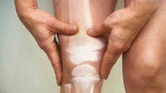 Researchers use magnetic fields and hydrogels to grow new cartilage in incredible breakthrough | Tailored Expertise Sourcing & Market Intelligence in Global Consulting | Scoop.it