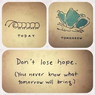 Don' lose hope... | Quote for Thought | Scoop.it