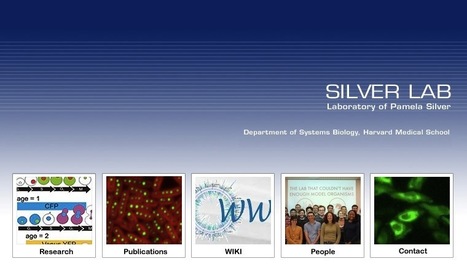 Silver Lab - Laboratory of Pamela Silver | SynBioFromLeukipposInstitute | Scoop.it