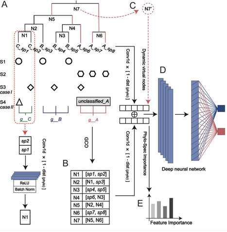 Phylo-Spec: a phylogeny-fusion deep learning model advances microbiome status identification | mSys | RMH | Scoop.it