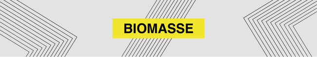 BIOMASSE