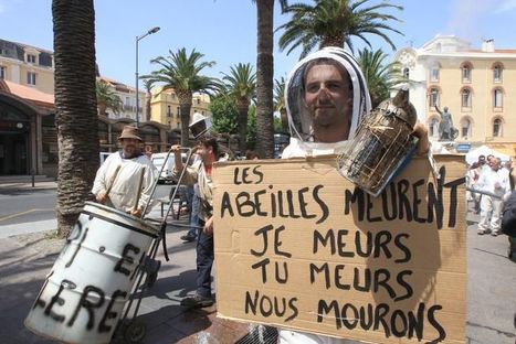 Solidarité avec les apiculteurs pyrénéens  Appel aux dons ! | Variétés entomologiques | Scoop.it