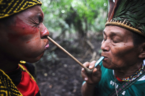 Flu-Infected Isolated Amazon Tribe Can be Wiped Out - International Business Times UK | RAINFOREST EXPLORER | Scoop.it