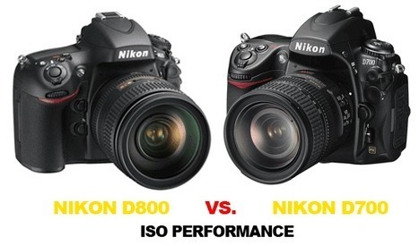 Nikon D800 vs. Nikon D700 high ISO comparison | Nikon D800 | Scoop.it