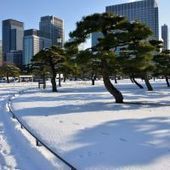 Japon: un produit mortel fuit d'une usine, mais est absorbé par la neige | Toxique, soyons vigilant ! | Scoop.it