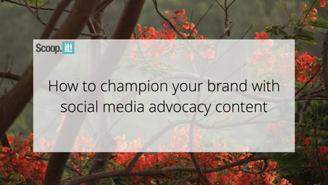 How to Champion Your Brand With Social Media Advocacy Content | 21st Century Learning and Teaching | Scoop.it