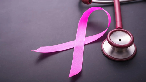 New Study Suggests Olive Oil May Reduce Breast Cancer Risk | OLIVE NEWS | Scoop.it