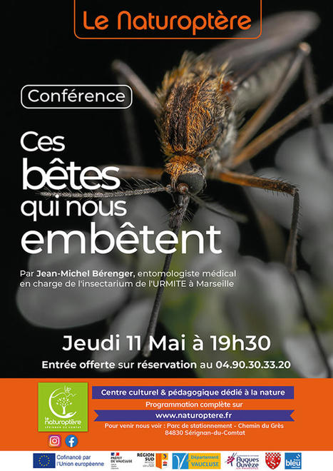 Conférence " Ces bêtes qui nous embêtent " | Naturoptère | Variétés entomologiques | Scoop.it