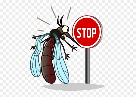 [Conseils] "En été, il y a d’autres virus qu’on doit avoir à l’œil !" | Insect Archive | Scoop.it