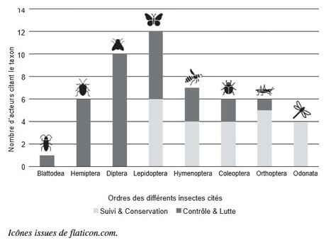 Vies et morts des insectes, gestions contemporaines de l'entomofaune | Les Colocs du jardin | Scoop.it
