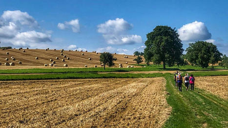 Le Club Vosgien veut repenser ses circuits de randonnée | Tourisme de randonnées                                                                                                                                                                                 & Sports de nature pour les pros | Scoop.it