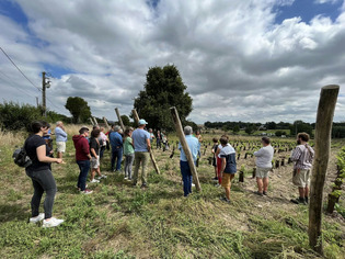 Vidéo - Escapade de l'été au Domaine Viticole de Bourg-Achard | Une semaine d'actu - Newsletter de veille de l'AURH | Scoop.it