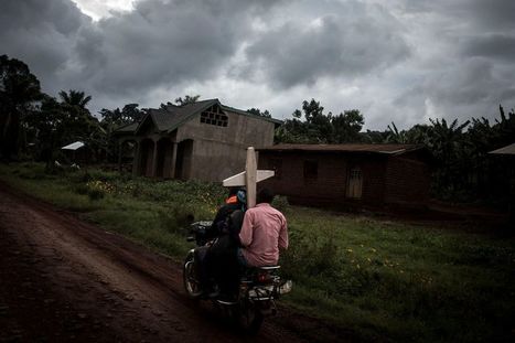 La prochaine pandémie est prévisible, rompons avec le déni de la crise écologique - Libération | Biodiversité | Scoop.it