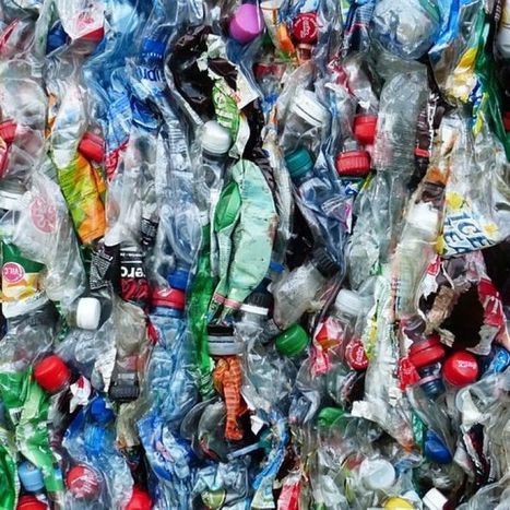Why you're almost certainly wasting time rinsing your recycling | consumer psychology | Scoop.it