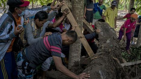 Hundreds of thousands of people evacuated in Vietnam as Typhoon Tembin takes aim | Coastal Restoration | Scoop.it