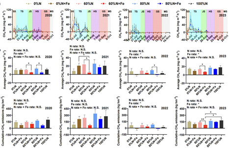 Iron amendment decreases methane emissions from subtropical paddies by altering soil microbial communities | msp | RMH | Scoop.it