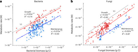 Limited energy for microorganisms constrains carbon accrual in soil | Ngeo | RMH | Scoop.it