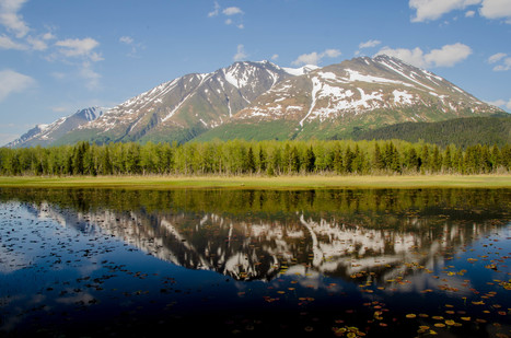 Assessments | IUCN Red List of Ecosystems | Biodiversité | Scoop.it