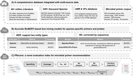 MiPRIME: An integrated and intelligent platform for mining primer and probe sequences of microbial species | bft | RMH | Scoop.it