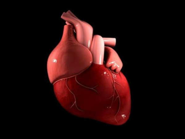 Spotlight on Advancements in Mitral Valve Repair | Transcatheter Treatment of Mitral Regurgitation | Scoop.it