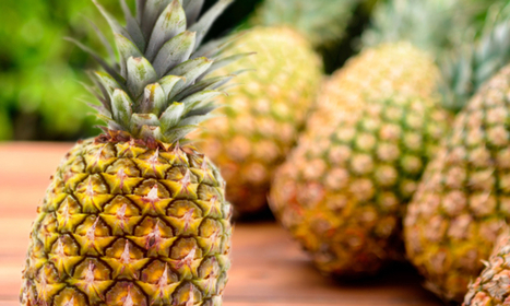 Dole Aims for Zero Fossil-based Plastic Packaging by 2025 | Sustainability Science | Scoop.it