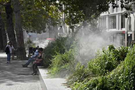 Nantes Métropole veut protéger les plus fragiles des pics de chaleur | Veille "Villes de demain" | Scoop.it