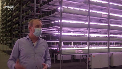 This Vertical Farm is Europe's Biggest and could be the Future of Farming | Technology in Business Today | Scoop.it