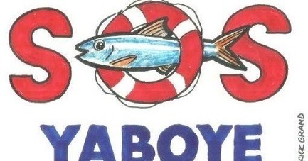 SOS Yaboye. Appel à mobilisation contre une usine de farine de poisson ! | HALIEUTIQUE MER ET LITTORAL | Scoop.it