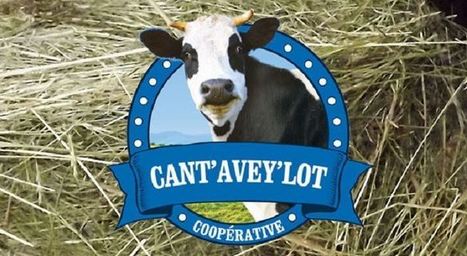Valorisation du lait - Cant'Avey'Lot : le pari gagnant d'éleveurs laitiers | Lait de Normandie... et d'ailleurs | Scoop.it